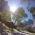 Alojamento de Turismo Selvagem Trollveggen